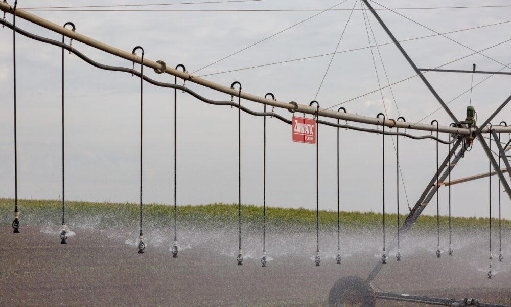 Irrigação da lavoura