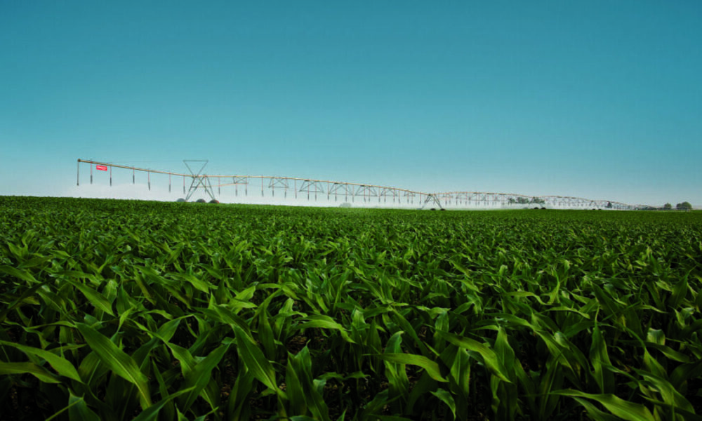 Rio Grande do Sul almeja aumentar a área irrigada em 100 mil hectares