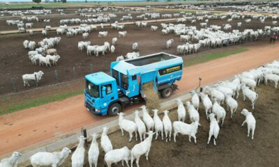 Siltomac apresenta avanço tecnológico na Agrishow