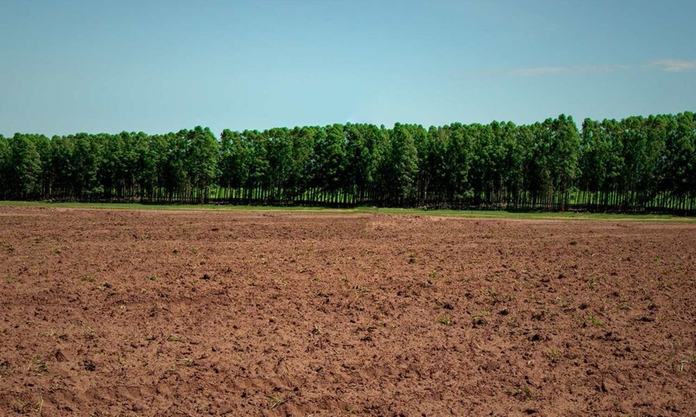 A importância da correta utilização da terra