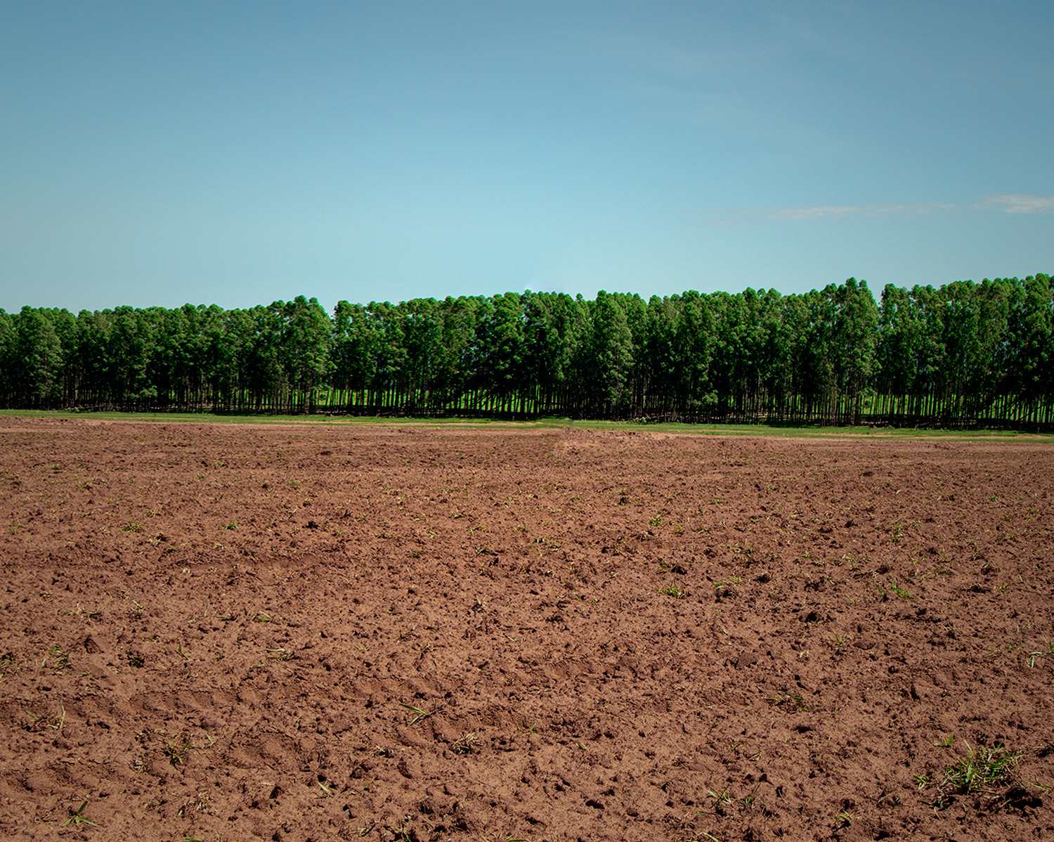 A importância da correta utilização da terra