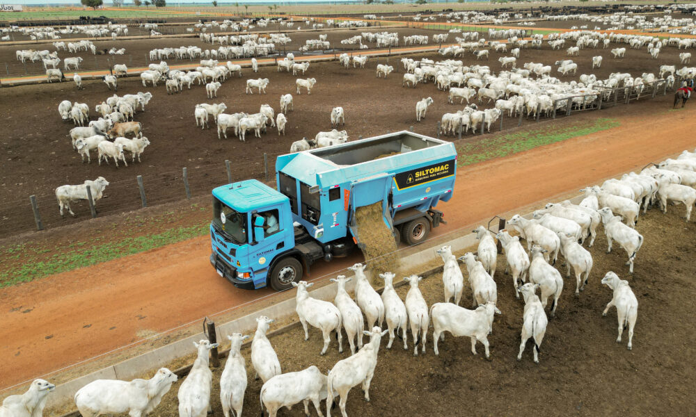 Capacidade de carga dos misturadores de ração merece atenção do pecuarista