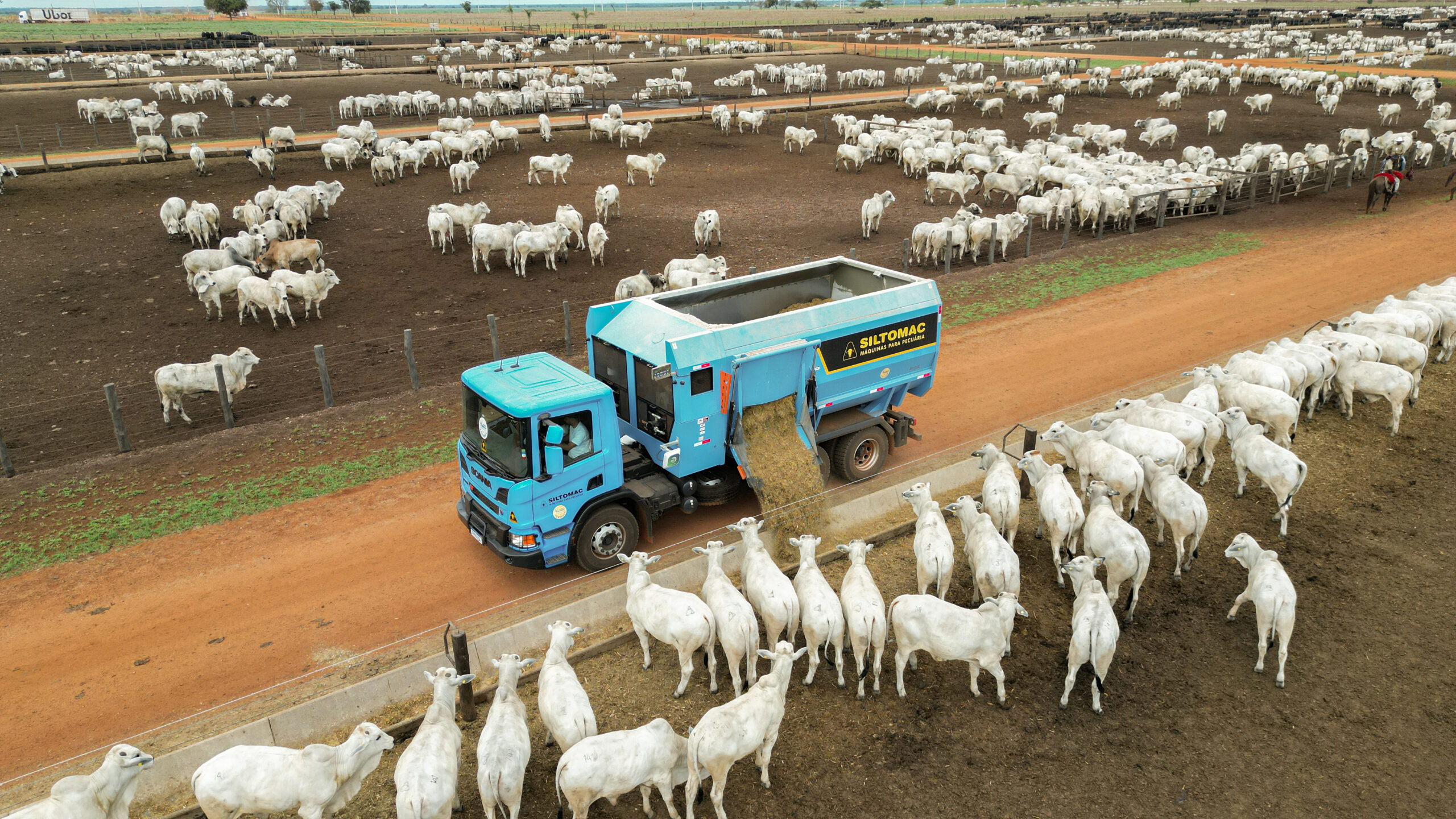 Capacidade de carga dos misturadores de ração merece atenção do pecuarista