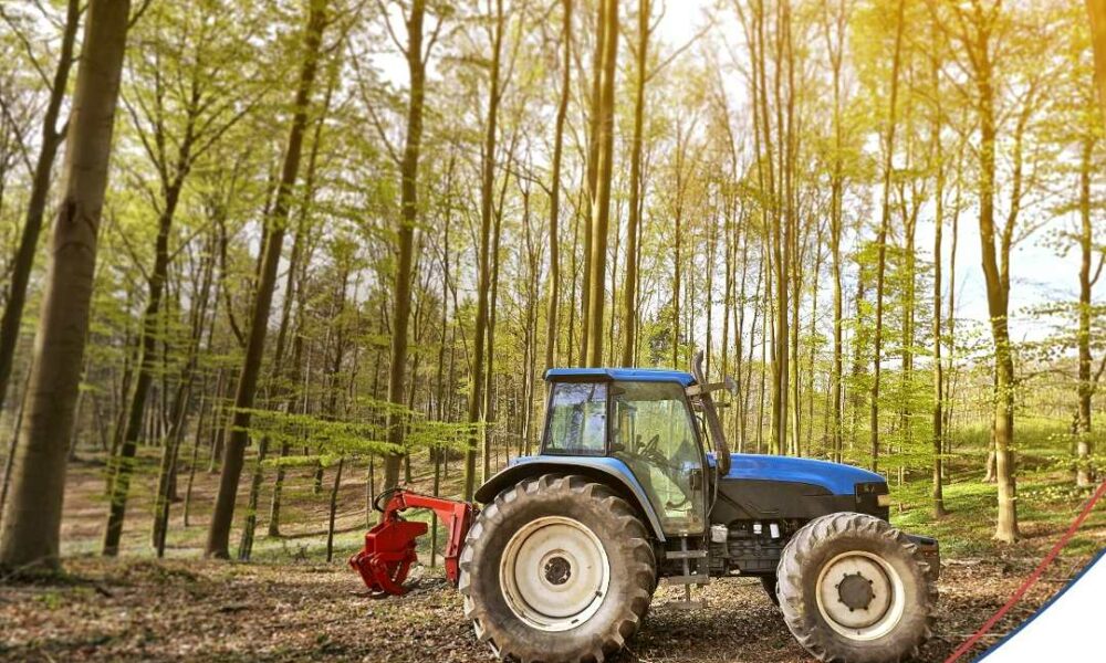 Mercado florestal ganha protagonismo e abre novas oportunidades no campo