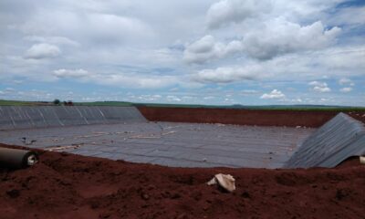 Avanço das geomembranas eleva sustentabilidade no setor sucroenergético