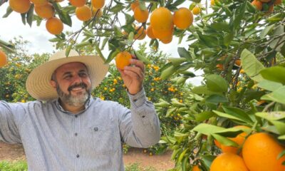 Divulgação Pensar todo o ciclo do cultivo de citros é essencial