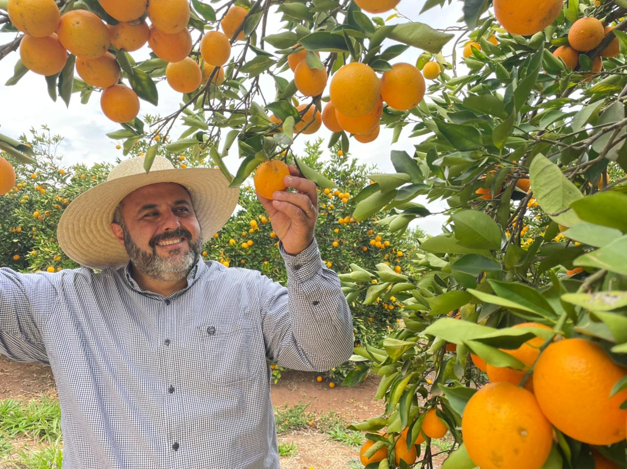 Divulgação Pensar todo o ciclo do cultivo de citros é essencial