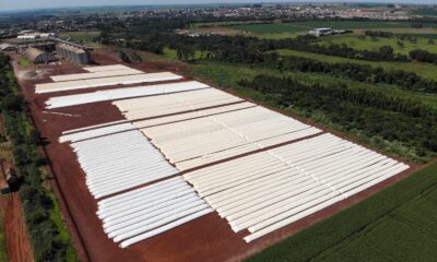 Silo bolsa ajuda o produtor a valorizar a safra