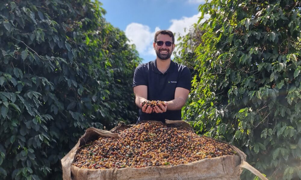 A importância da rastreabilidade e transparência na produção de café