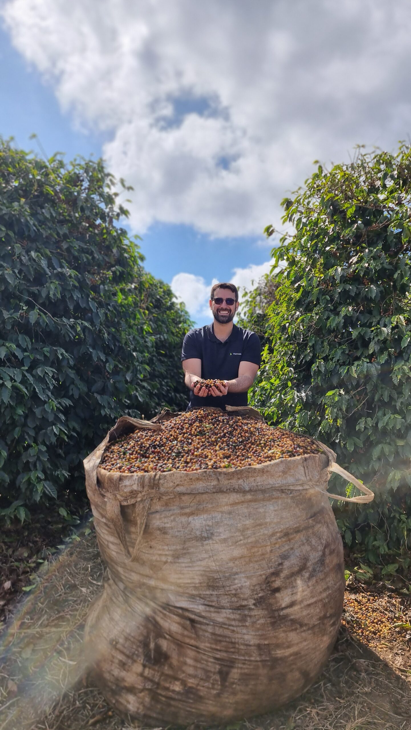 A importância da rastreabilidade e transparência na produção de café