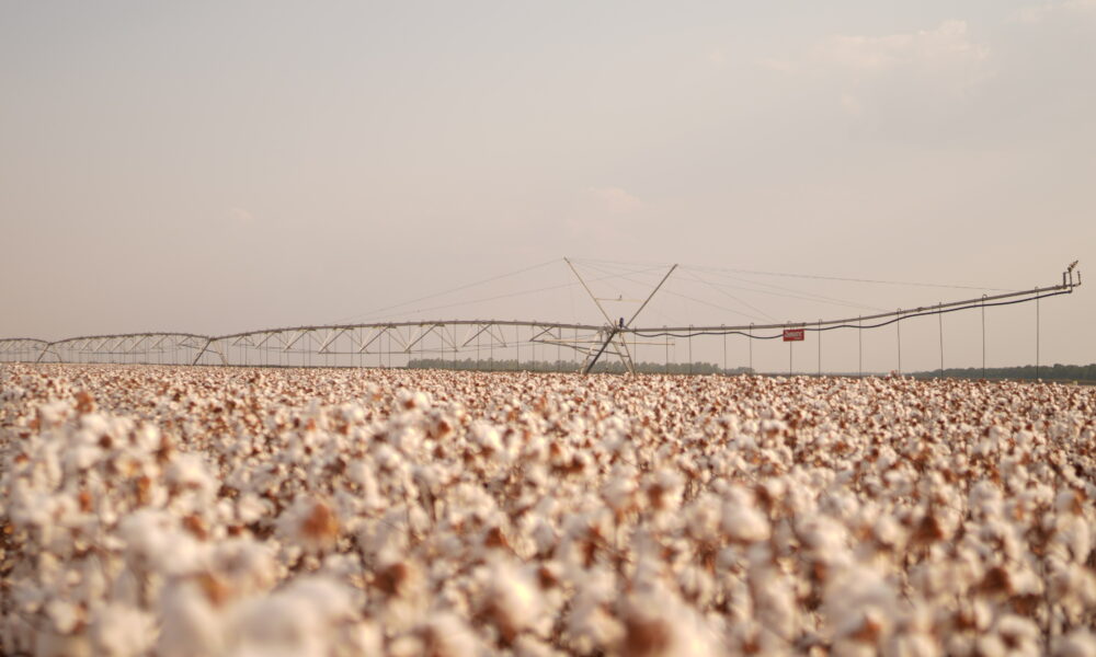 Congresso Brasileiro do Algodão destaca os benefícios das tecnologias de irrigação