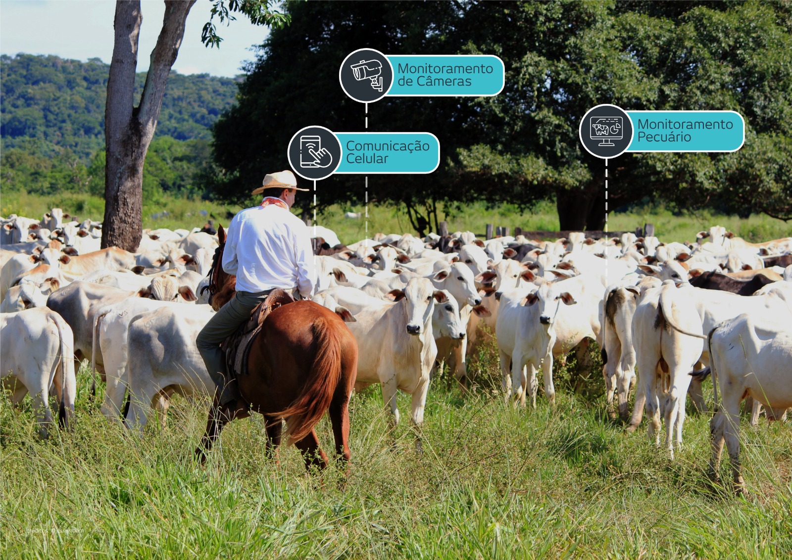 Conectividade IoT e cidades inteligentes são novidades na Expointer