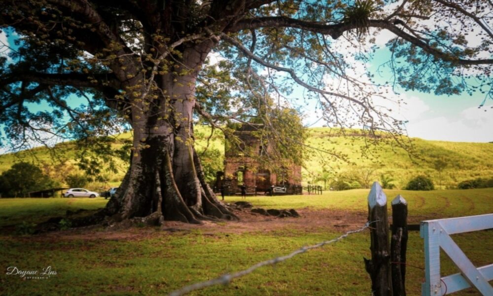 Dayane Lins/Divulgação Roncador Fazenda Roncador, localizada em Querência (MT), conta com 152 mil hectares e é considerada a maior do Brasil