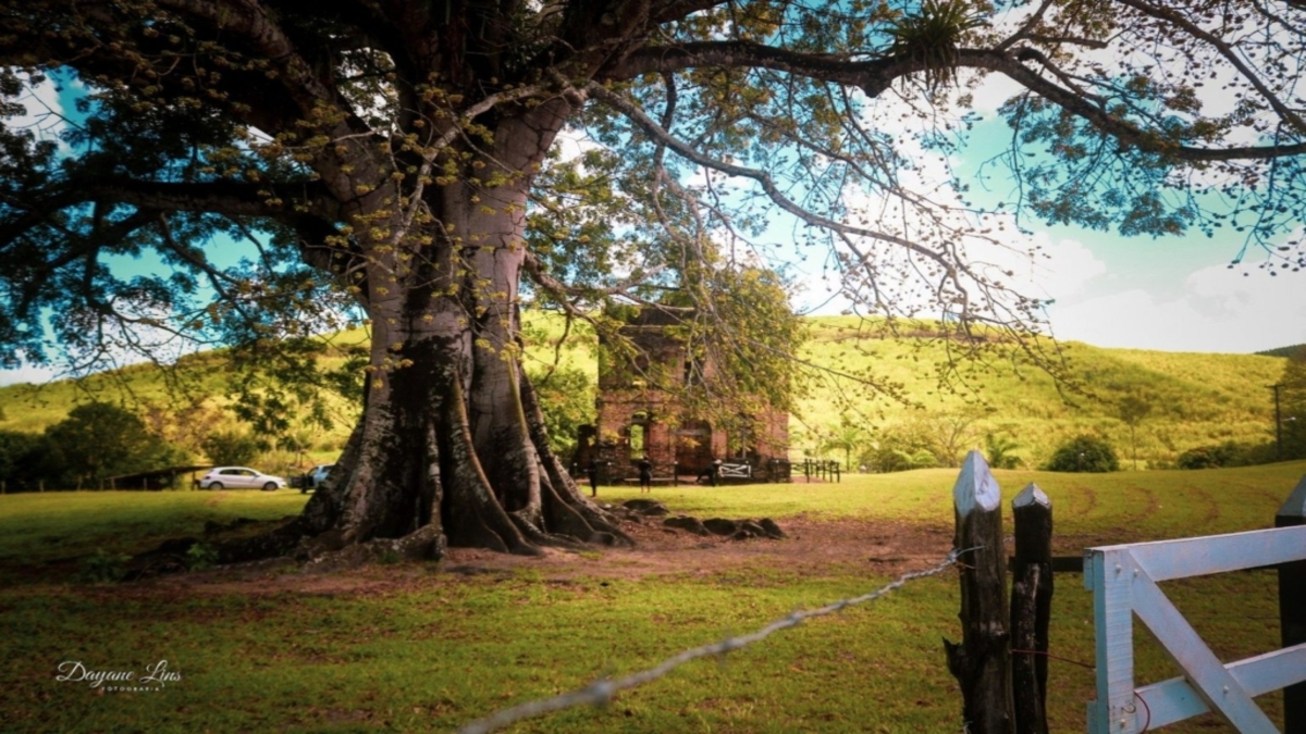 Dayane Lins/Divulgação Roncador Fazenda Roncador, localizada em Querência (MT), conta com 152 mil hectares e é considerada a maior do Brasil