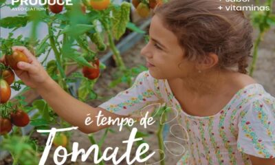 IFPA lança Campanha de Sazonalidade do Tomate 2024