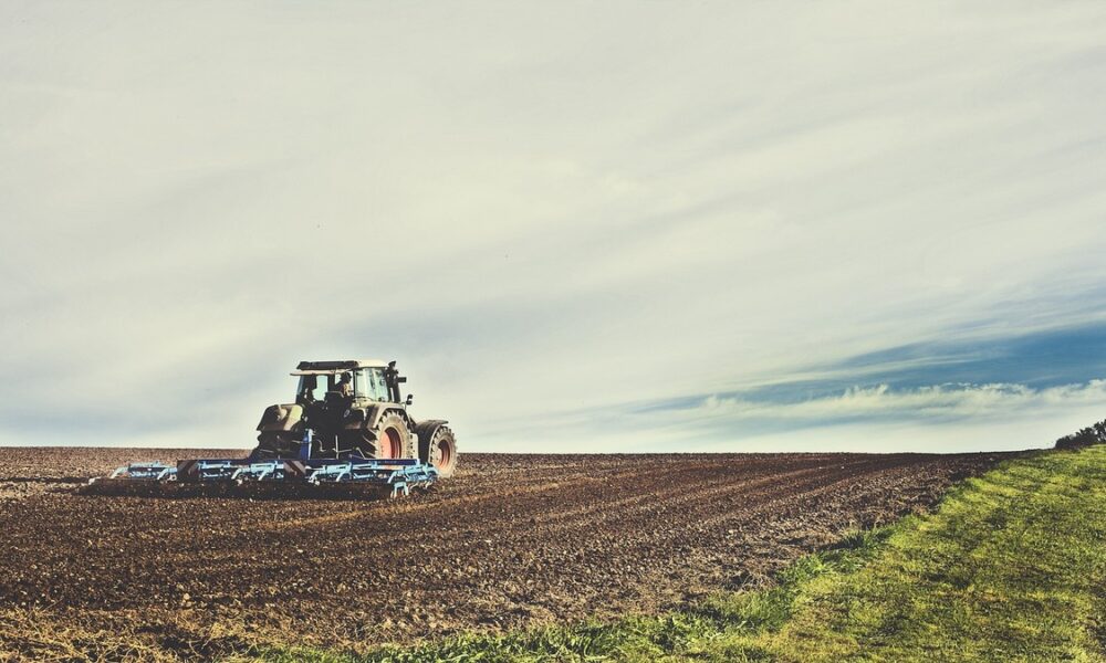 Personalização é o segredo para implementação de inovações digitais no agro brasileiro