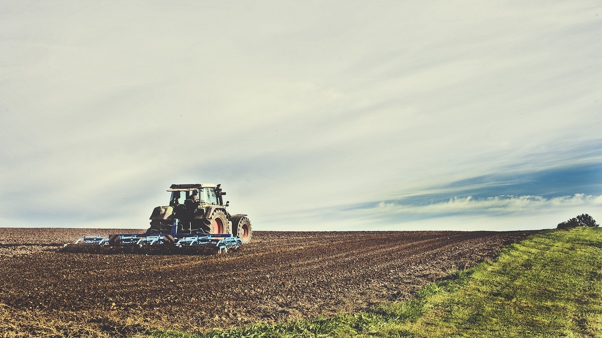 Personalização é o segredo para implementação de inovações digitais no agro brasileiro