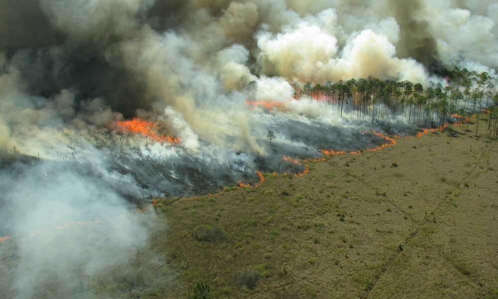 Incêndios geram impactos dentro e fora do agro