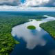 Descarbonização da Amazônia é tema de painel na 6ª edição do Techonomy Climate NYC