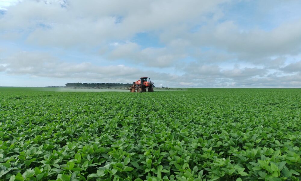 Divulgação Sell Agro