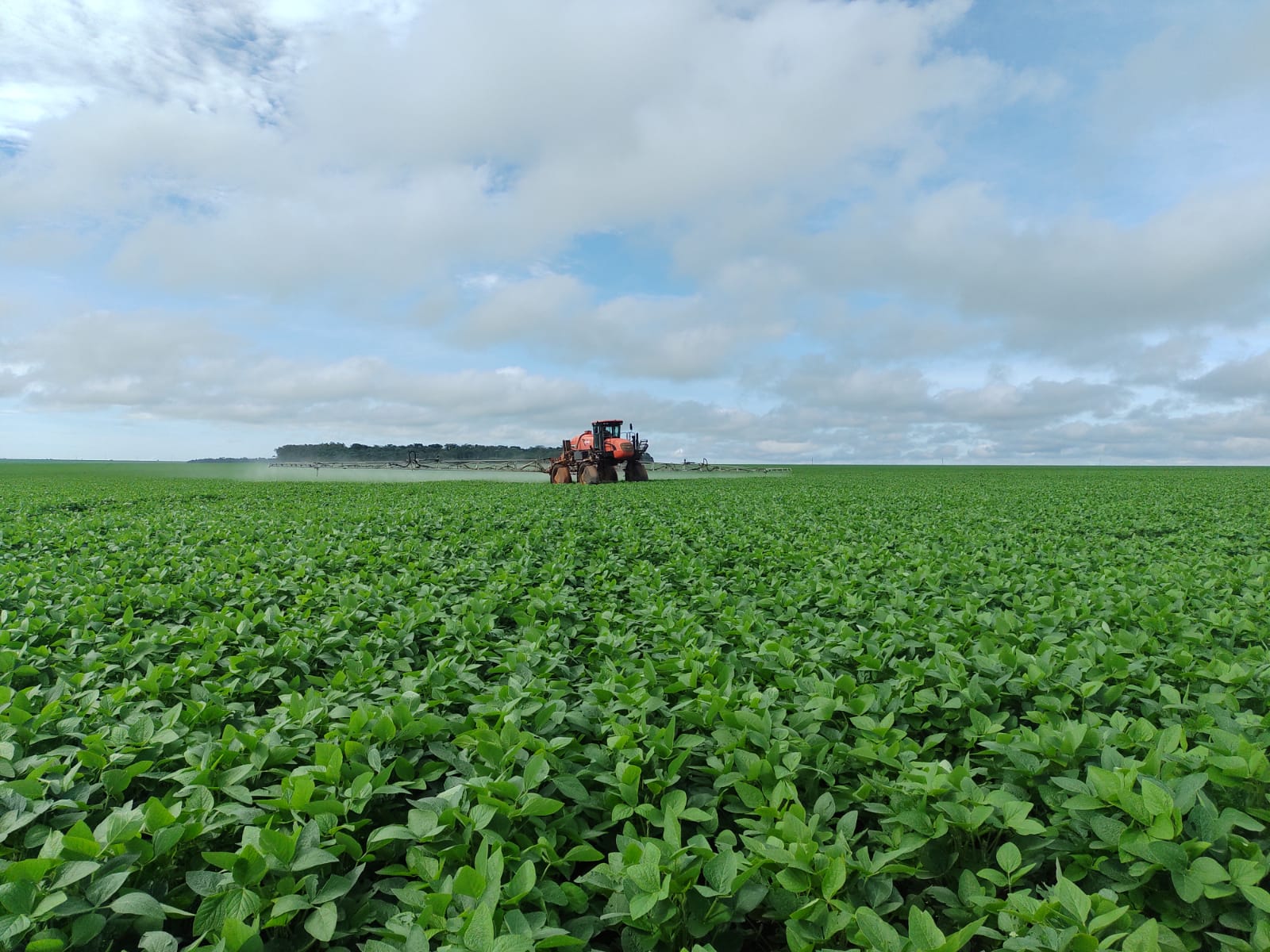 Divulgação Sell Agro