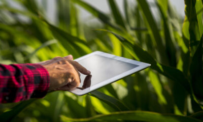 IA : Brasil é vanguardista em pesquisa e no desenvolvimento de tecnologias para o agronegócio