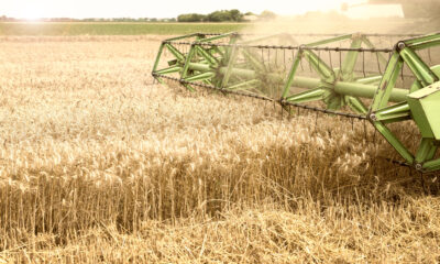 Agro paulista teme impactos negativos com a revisão dos benefícios fiscais