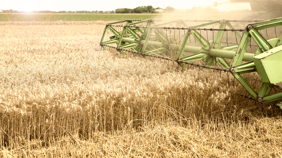 Agro paulista teme impactos negativos com a revisão dos benefícios fiscais