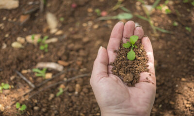 Grave seca ameaça agro no Brasil