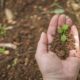 Grave seca ameaça agro no Brasil