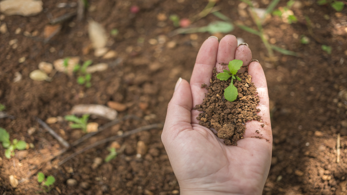 Grave seca ameaça agro no Brasil