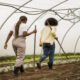 Projeto Inovarte: Adolescentes apresentam soluções agrícolas inovadoras que facilitam o dia a dia