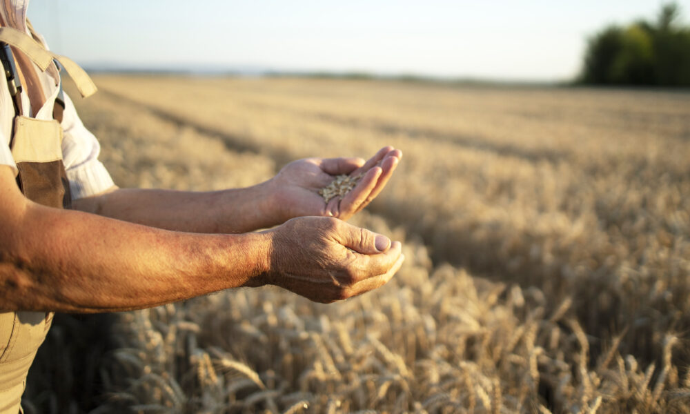 Sustentabilidade, tecnologia e novos modelos de financiamento devem nortear o agronegócio em 2025