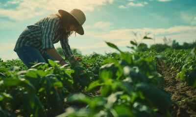 Lei de Bioinsumos promete ser um marco para o agronegócio brasileiro; Entenda o motivo