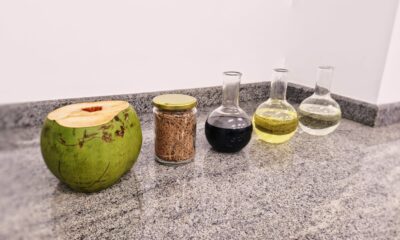 UNIT e ITP Processos da produção de biocombustível a partir da biomassa residual de coco verde