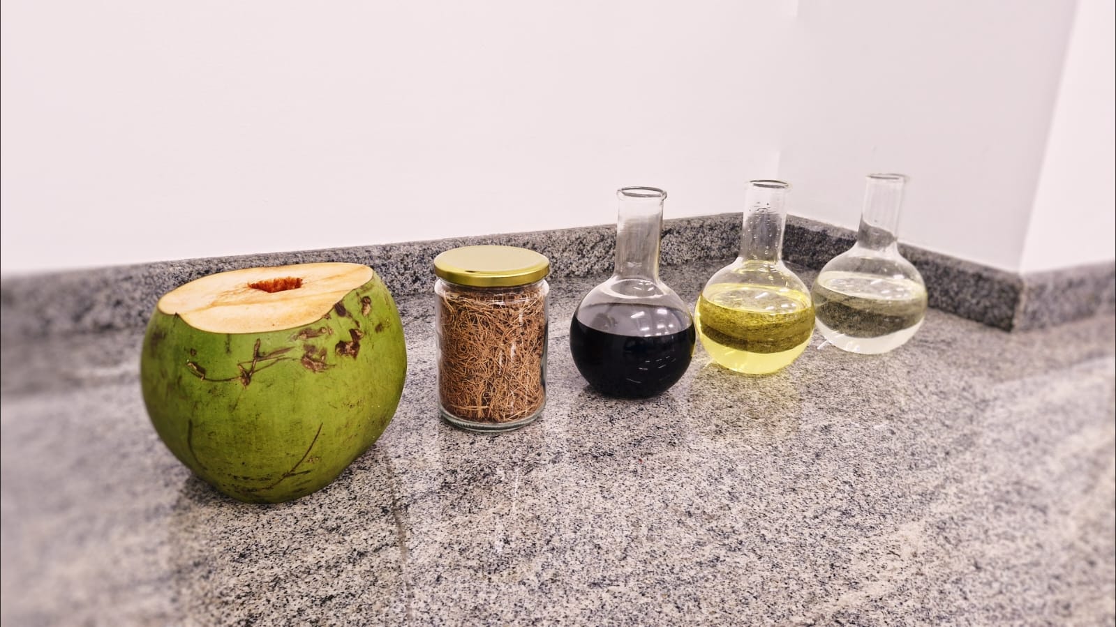 UNIT e ITP Processos da produção de biocombustível a partir da biomassa residual de coco verde