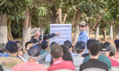 Mais de 3 mil participantes são esperados nos Dias de Campo da Procafé na próxima semana, em Varginha