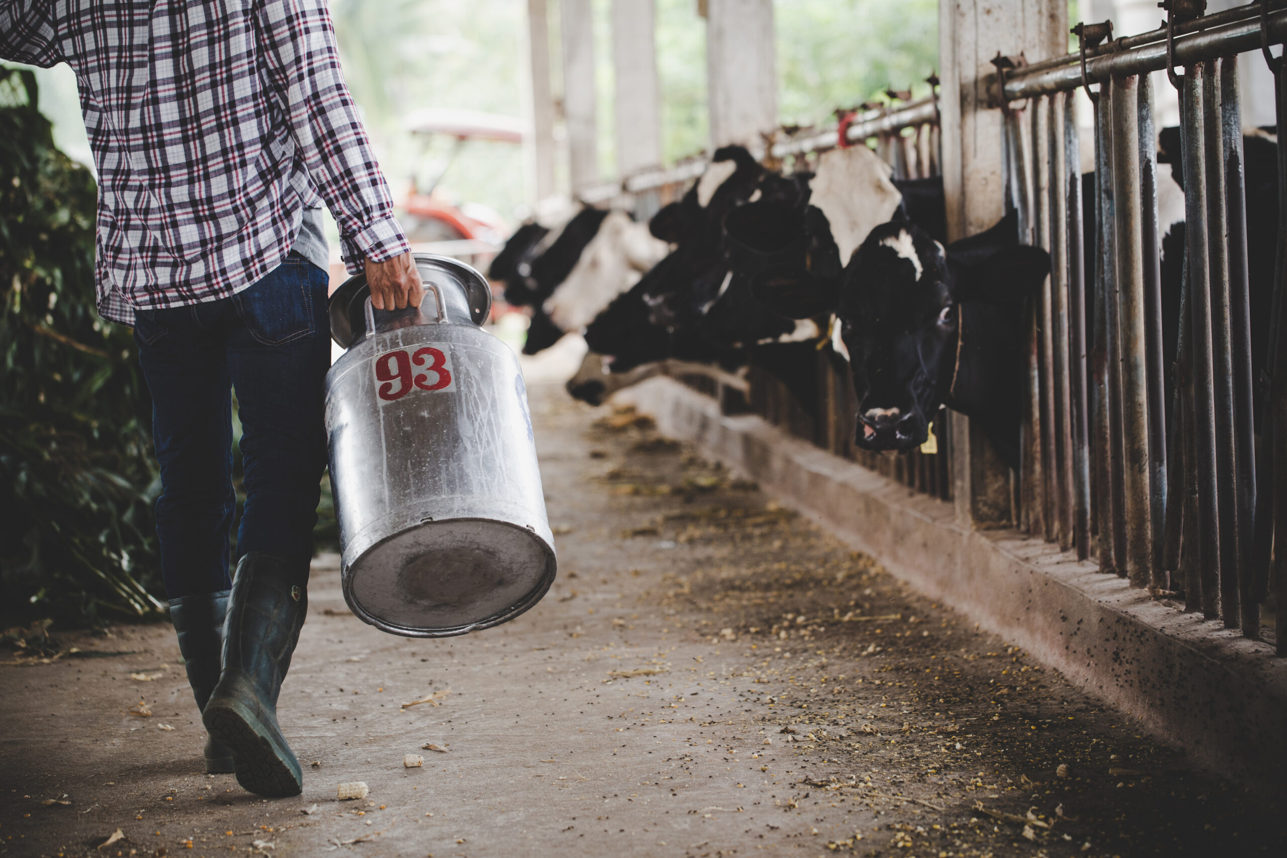 MFG Agropecuária investe em bem-estar nutricional para garantir maior conforto dos animais
