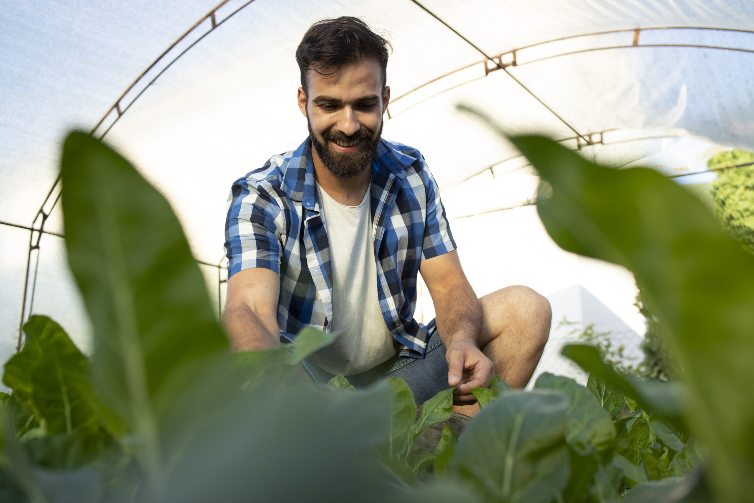 Parceria entre INCT NanoAgro e Solinftec combina nanotecnologia à robótica para ampliar sustentabilidade e economia no campo