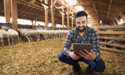 Expansão do agronegócio brasileiro ganha um novo aliado: o consórcio