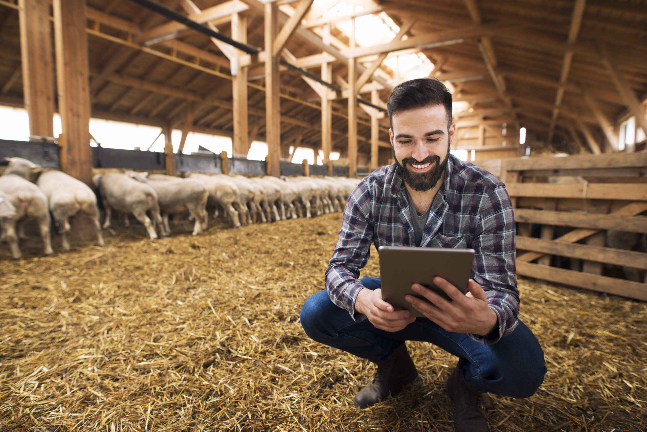 Expansão do agronegócio brasileiro ganha um novo aliado: o consórcio