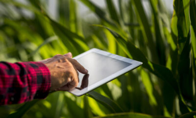 Tecnologia para o agronegócio: inovação na comercialização de safras