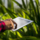 Tecnologia para o agronegócio: inovação na comercialização de safras