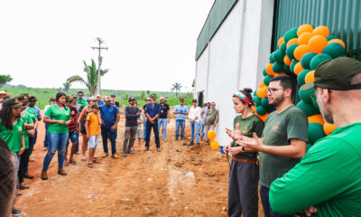 Acerco Idesam Famílias locais recebem treinamento sobre SAF