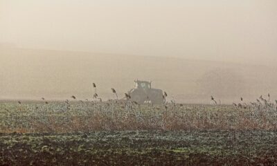 Graxa de complexo de lítio: conheça solução que otimiza a manutenção preventiva de maquinário agrícola para o inverno