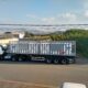 MAT impulsiona projeto de carretas para transporte de biometano e amplia soluções para o agronegócio