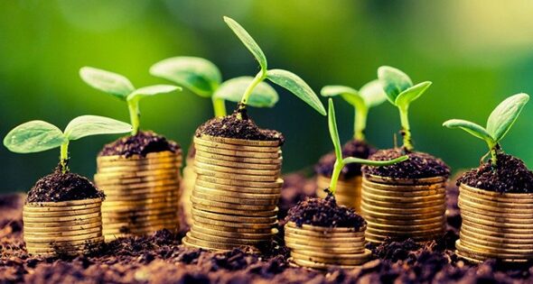 Especialistas debatem futuro do amendoim brasileiro e sua competitividade no mercado global