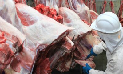 Exportações de carne de MT crescem 67% no 3º trimestre de 2025 e devem superar recorde de 2024