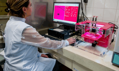 Imagem: divulgação