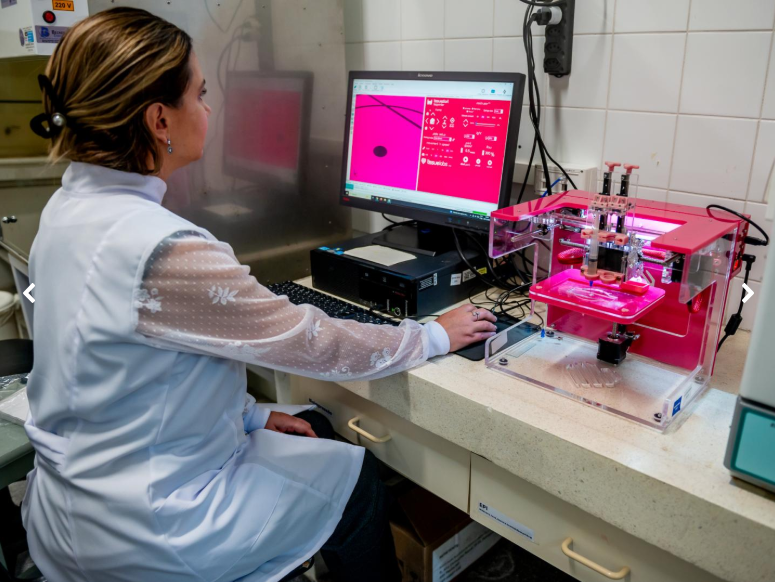 Imagem: divulgação